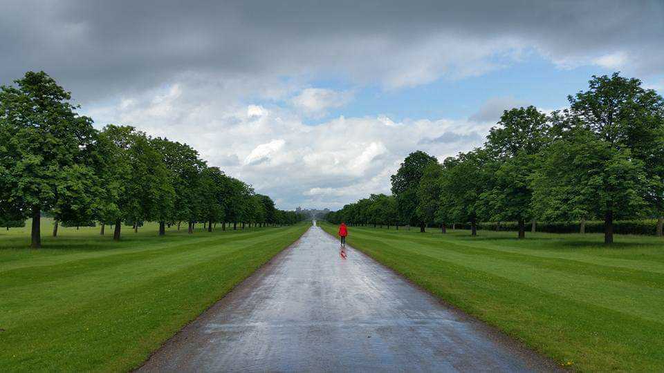 Name:  FB_IMG_1576008335739.jpg
Views: 97
Size:  53.8 KB