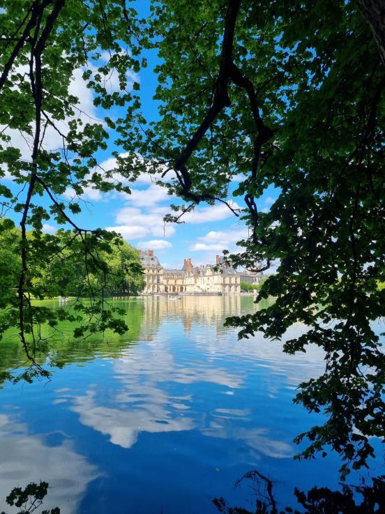 Name:  6219f160-a7ea-4209-8bb5-6b954a80b682.jpg
Views: 95
Size:  100.7 KB