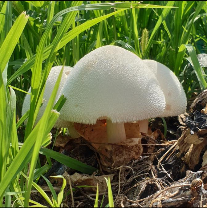 Name:  20220625_120601.jpg
Views: 79
Size:  94.4 KB