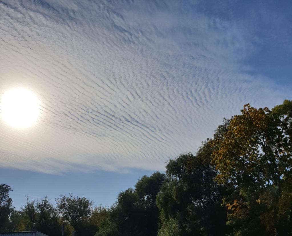 Name:  20220625_120724.jpg
Views: 80
Size:  88.0 KB