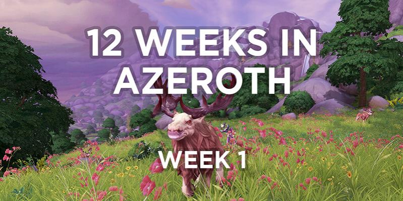 Name:  12_weeks_in_azeroth_competition_wk01re.jpg
Views: 157
Size:  73.2 KB