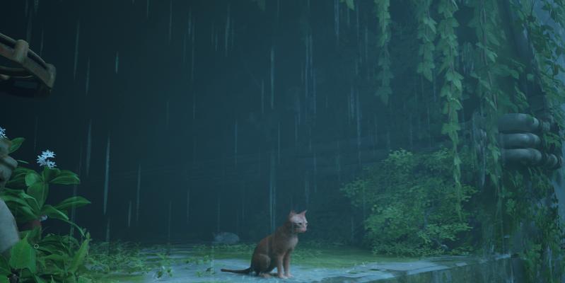 Nombre:  Stray2.jpg
Visitas: 263
Tamaño: 27.2 KB