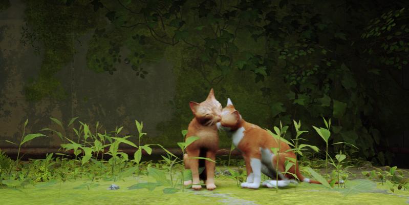 Nombre:  Stray3.jpg
Visitas: 244
Tamaño: 42.8 KB