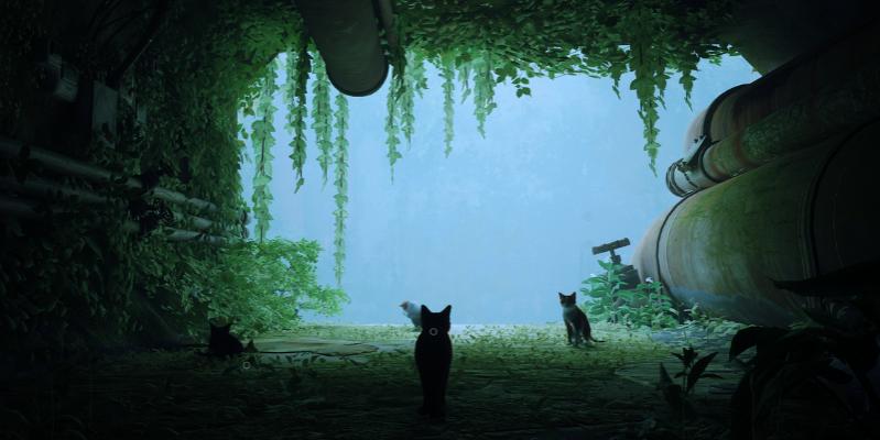 Nombre:  Stray1.jpg
Visitas: 253
Tamaño: 39.3 KB