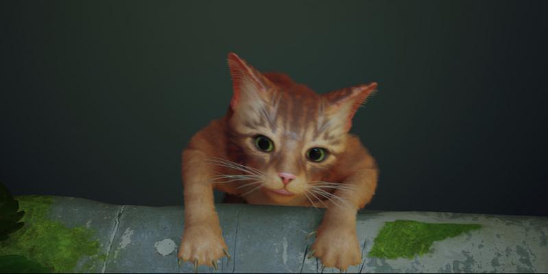 Nombre:  Stray5.jpg
Visitas: 243
Tamaño: 20.1 KB