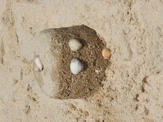 Nombre:  20220806_133319.jpg
Visitas: 76
Tamaño: 96.2 KB