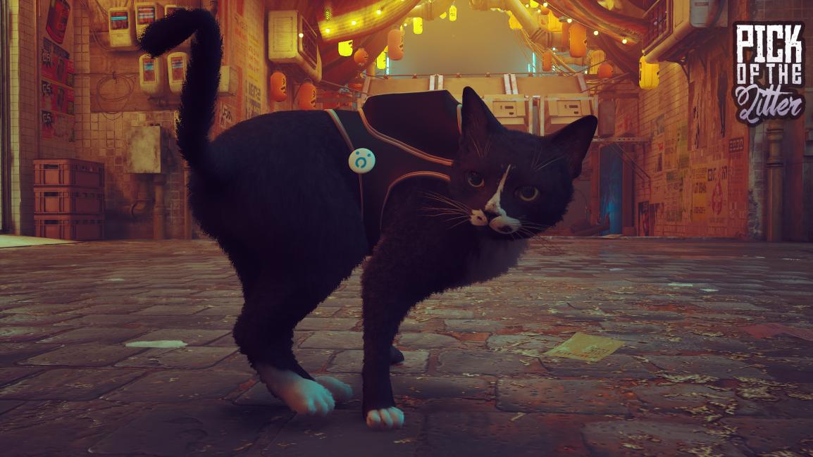 Nombre:  sam.jpg
Visitas: 124
Tamaño: 96.8 KB