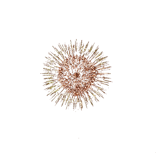 Name:  Fireworks.gif
Views: 27058
Size:  975.2 KB