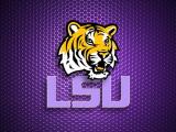 Avatar de lsutigers527