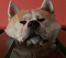 EddyGenesis's Avatar