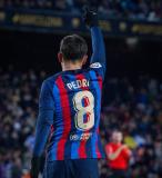 saifalhosary's Avatar