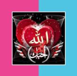 Heba8GadALLAH's Avatar