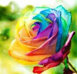 FlowerOfGood's Avatar