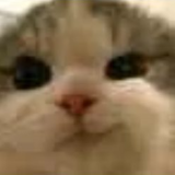 Smaubs's Avatar