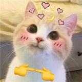SaraAbdelmoez's Avatar