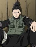 WizzHunter's Avatar