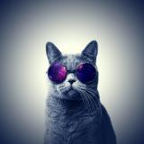 PtiSake's Avatar