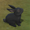 kukka's Avatar