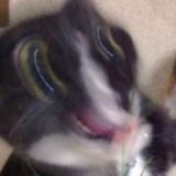 miltoid19's Avatar